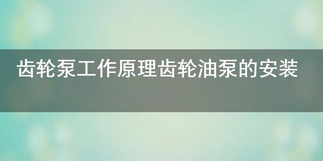 九游體育齒輪泵工作原理 齒輪油泵的安裝(圖1)