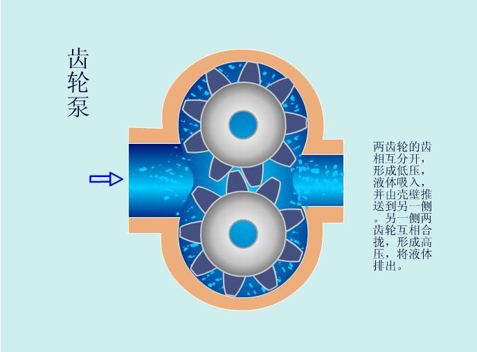 九游體育上海博禹泵業(yè)有限公司(圖2)