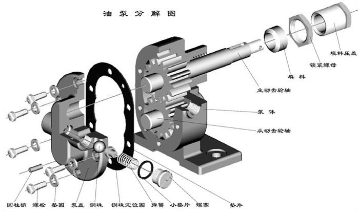 齒輪油泵結(jié)構(gòu)詳細(xì)圖解九游體育